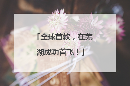 全球首款，在芜湖成功首飞！