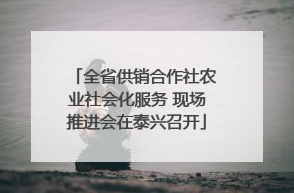 全省供销合作社农业社会化服务 现场推进会在泰兴召开