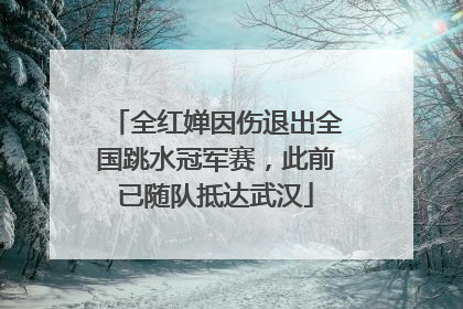 全红婵因伤退出全国跳水冠军赛，此前已随队抵达武汉