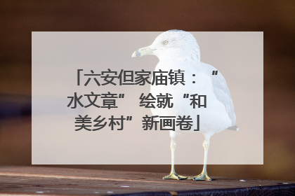 六安但家庙镇：“水文章” 绘就“和美乡村”新画卷