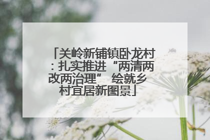 关岭新铺镇卧龙村：扎实推进“两清两改两治理” 绘就乡村宜居新图景