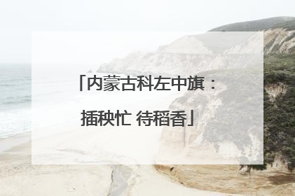 内蒙古科左中旗：插秧忙 待稻香