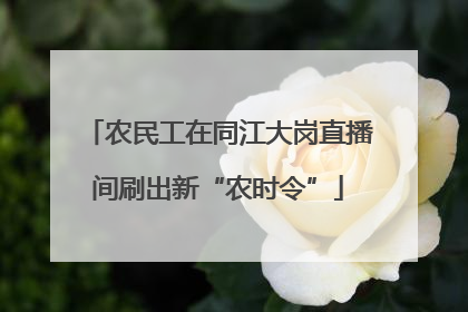 农民工在同江大岗直播间刷出新“农时令”