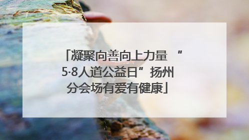 凝聚向善向上力量 “5·8人道公益日”扬州分会场有爱有健康