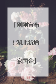 刚刚宣布！湖北新增一家国企