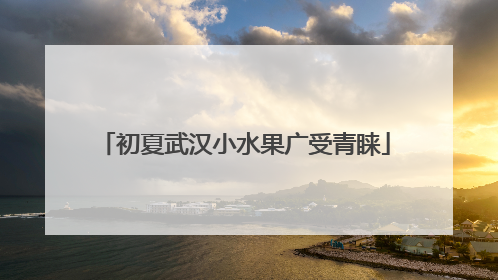 初夏武汉小水果广受青睐