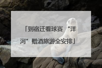 到宿迁看球赛 “洋河”赠酒旅游全安排