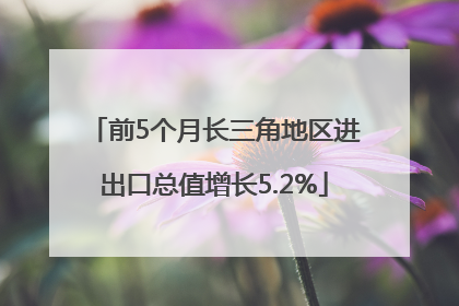 前5个月长三角地区进出口总值增长5.2%
