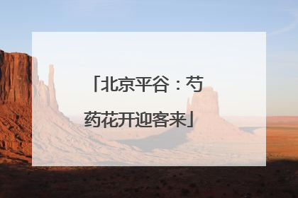 北京平谷：芍药花开迎客来