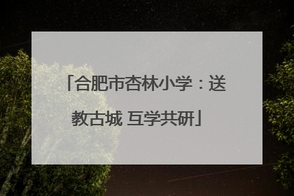 合肥市杏林小学：送教古城 互学共研