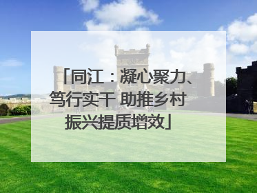 同江：凝心聚力、笃行实干 助推乡村振兴提质增效
