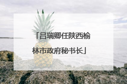 吕瑞卿任陕西榆林市政府秘书长