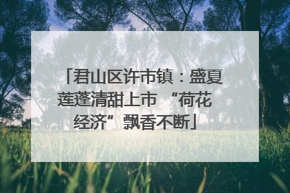 君山区许市镇：盛夏莲蓬清甜上市 “荷花经济”飘香不断