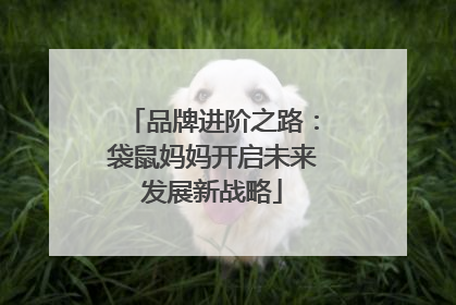 品牌进阶之路：袋鼠妈妈开启未来发展新战略