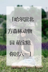 哈尔滨北方森林动物园 萌宝陪你过六一