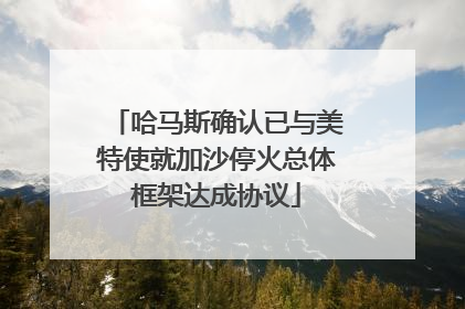 哈马斯确认已与美特使就加沙停火总体框架达成协议