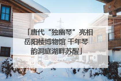唐代“独幽琴”亮相岳阳楼博物馆 千年琴韵洞庭湖畔苏醒