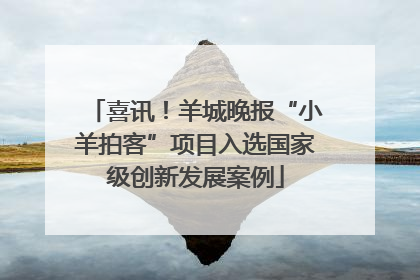 喜讯！羊城晚报“小羊拍客”项目入选国家级创新发展案例