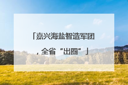 嘉兴海盐智造军团，全省“出圈”