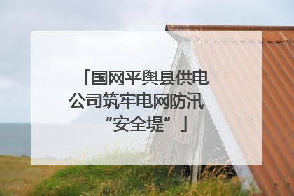 国网平舆县供电公司筑牢电网防汛“安全堤”