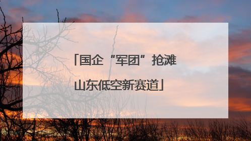国企“军团”抢滩山东低空新赛道