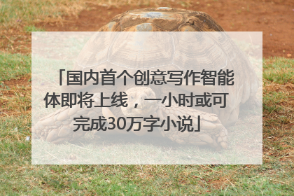 国内首个创意写作智能体即将上线，一小时或可完成30万字小说