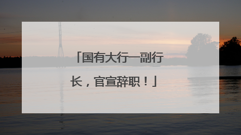 国有大行一副行长，官宣辞职！