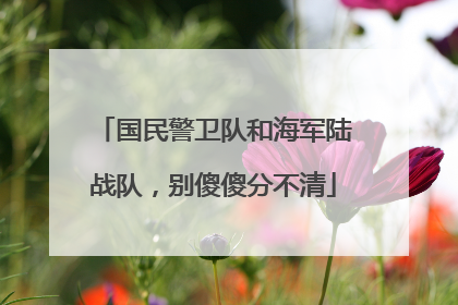国民警卫队和海军陆战队，别傻傻分不清