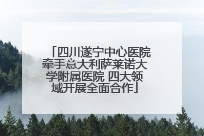 四川遂宁中心医院牵手意大利萨莱诺大学附属医院 四大领域开展全面合作