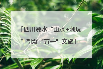 四川邻水“山水+潮玩”引爆“五一”文旅