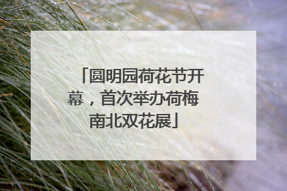 圆明园荷花节开幕，首次举办荷梅南北双花展