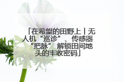 在希望的田野上丨无人机“巡诊”、传感器“把脉” 解锁田间地头的丰收密码
