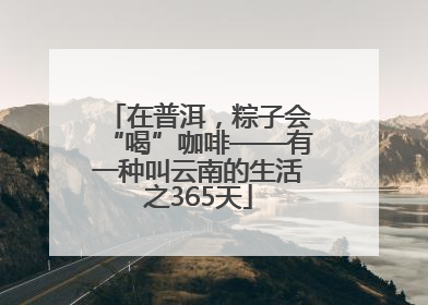 在普洱，粽子会“喝”咖啡——有一种叫云南的生活之365天