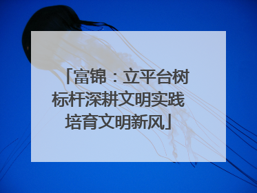 富锦：立平台树标杆深耕文明实践培育文明新风