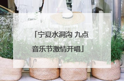 宁夏水洞沟 九点音乐节激情开唱