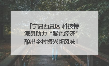 宁夏西夏区 科技特派员助力“紫色经济”酿出乡村振兴新风味