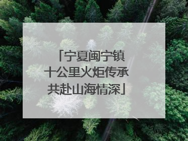 宁夏闽宁镇 十公里火炬传承共赴山海情深