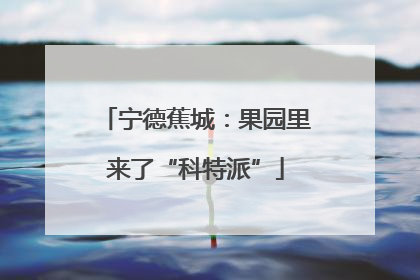 宁德蕉城：果园里来了“科特派”