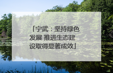 宁武：坚持绿色发展 推进生态建设取得显著成效