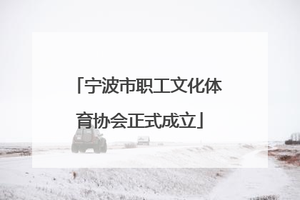 宁波市职工文化体育协会正式成立