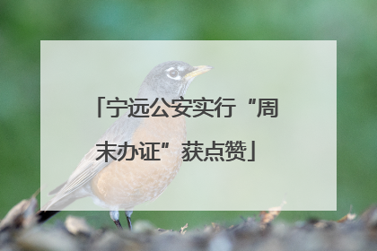 宁远公安实行“周末办证”获点赞