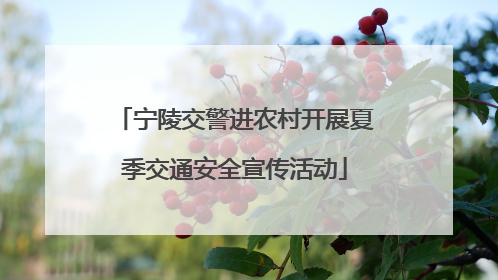 宁陵交警进农村开展夏季交通安全宣传活动