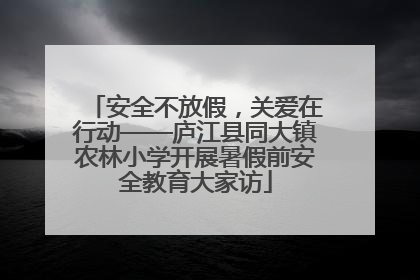 安全不放假，关爱在行动——庐江县同大镇农林小学开展暑假前安全教育大家访