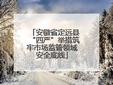 安徽省定远县“四严”举措筑牢市场监管领域安全底线