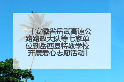 安徽省岳武高速公路路政大队等七家单位到岳西县特教学校开展爱心志愿活动