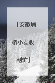 安徽埇桥小麦收割忙