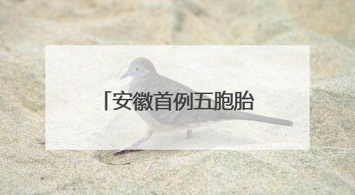 安徽首例五胞胎参加高考，校长：高中免除相关费用超50万元