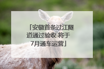 安徽首条过江隧道通过验收 将于7月通车运营