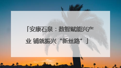 安康石泉：数智赋能兴产业 铺就振兴“新丝路”