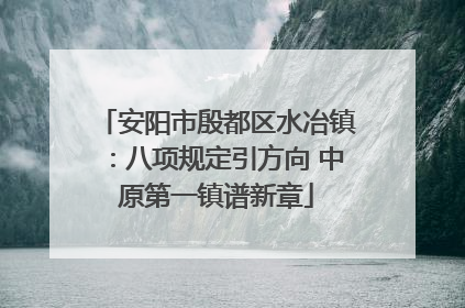安阳市殷都区水冶镇：八项规定引方向 中原第一镇谱新章